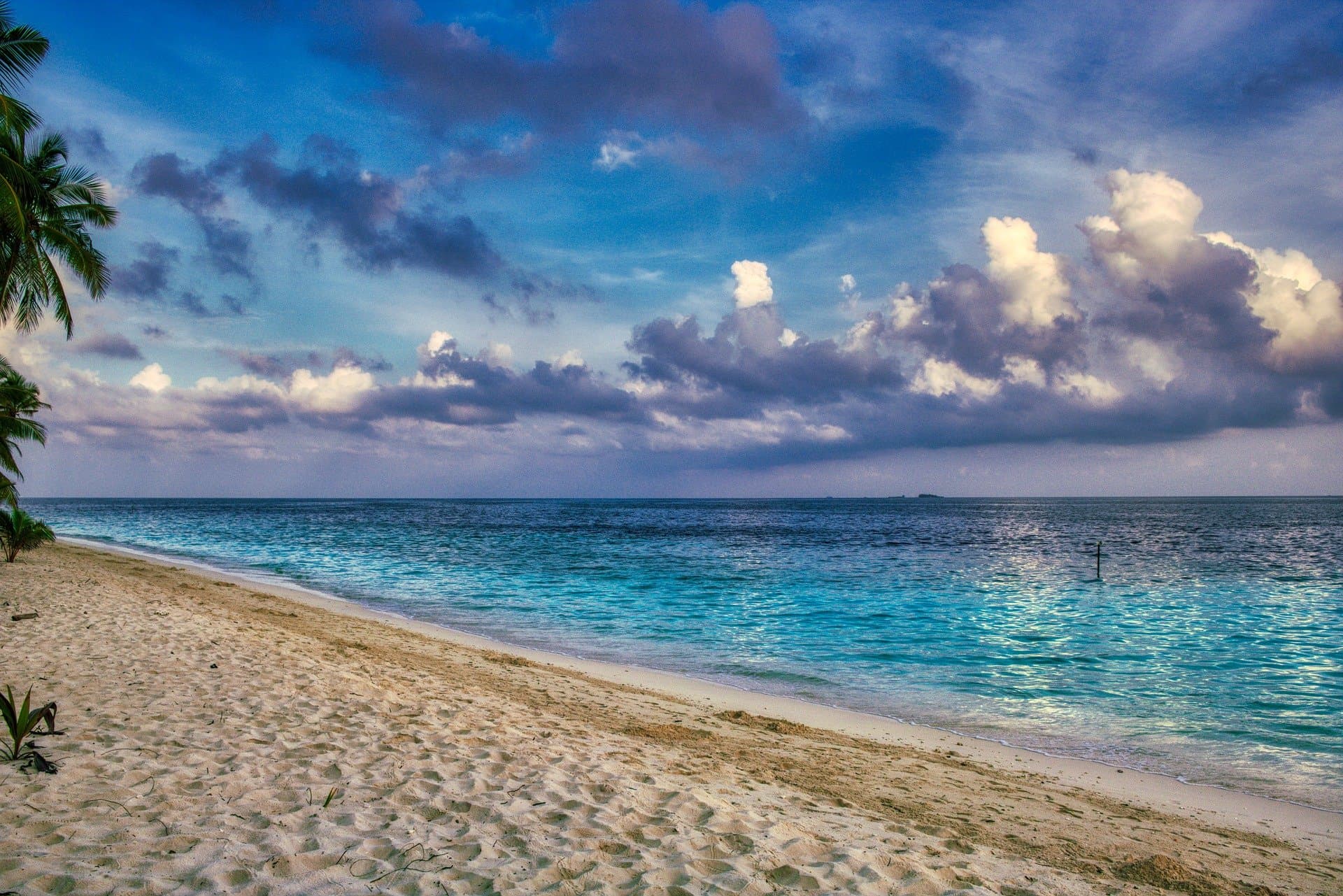 landscape-4455224_1920.jpg
